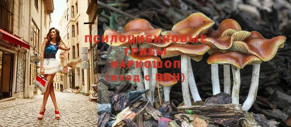 Альфа ПВП Липки