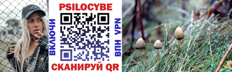 ссылка на мегу tor  Трёхгорный  Псилоцибиновые грибы Psilocybe 
